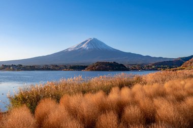 Fuji Dağı, Japonya 'nın ikonik sembolü, sonbahar yaprakları mevsiminde, fevkalade güzel bir dönem. kawaguchiko, japan.