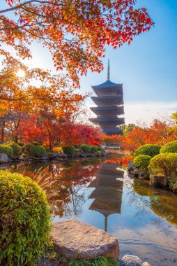 Toji 'nin (To-ji) en güzel bakış açısı Japonya' nın Kyoto kentinde popüler bir turizm merkezidir..