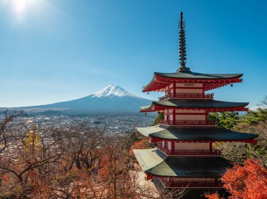 Fuji Dağı, Japonya 'nın ikonik sembolü, sonbahar yaprakları mevsiminde, fevkalade güzel bir dönem. kawaguchiko, japan.