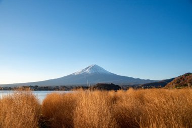 Fuji Dağı, Japonya 'nın ikonik sembolü, sonbahar yaprakları mevsiminde, fevkalade güzel bir dönem. kawaguchiko, japan.