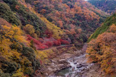 Arashiyama, Japonya 'nın Kyoto eyaletinde yer alan bir şehirdir. Ayrıca Oei Nehri 'nin karşısındaki dağdan da bahseder ve bu dağ ilçeye bir zemin oluşturur. Arashiyama, ulusal olarak belirlenmiş bir tarihi mekan ve Manzaralı Güzellik Yeridir..