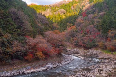 Arashiyama is a district on the western outskirts of Kyoto, Japan. It also refers to the mountain across the oei River, which forms a backdrop to the district. Arashiyama is a nationally designated Historic Site and Place of Scenic Beauty. clipart