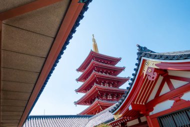 Tokyo 'daki en güzel Sensoji Tapınağı, Buddha, Japonya. (Asakusa tapınağı) 