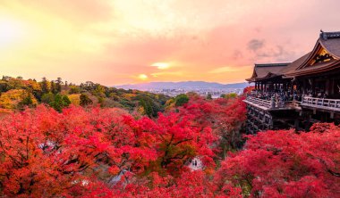 Kiyomizu-dera 'nın en güzel bakış açısı Japonya' nın Kyoto kentinde popüler bir turizm merkezidir..