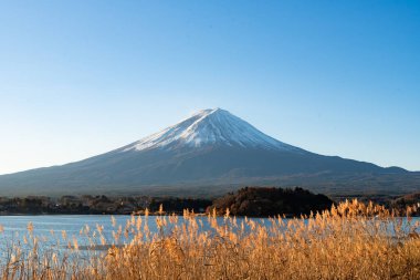 Fuji Dağı, Japonya 'nın ikonik sembolü, sonbahar yaprakları mevsiminde, fevkalade güzel bir dönem. kawaguchiko, japan.