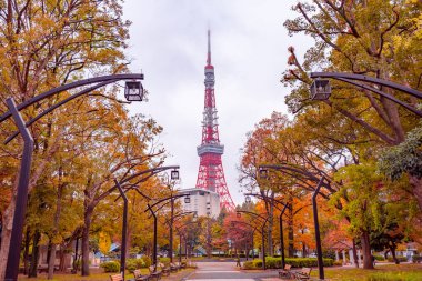 Tokyo şehir parkındaki turistik yerler, Asya iş konsepti imajı, Japonya 'daki panoramik modern şehir manzarası.    