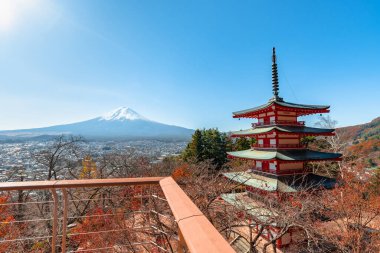 Fuji Dağı, Japonya 'nın ikonik sembolü, sonbahar yaprakları mevsiminde, fevkalade güzel bir dönem. kawaguchiko, japan.