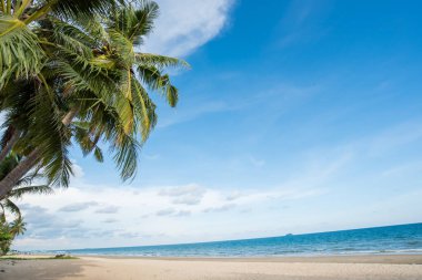 Güzel doğa deniz yaz arkaplanı, kumsal.