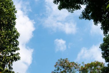 Açık mavi arkaplan, arka planda bulutlar, küçük bulutlu mavi gökyüzü arkaplanı. Mavi gökyüzünde beyaz kabarık bulutlar. Gökyüzünün ve bulutların büyüleyici güzelliğini gösteren büyüleyici stok fotoğrafı..