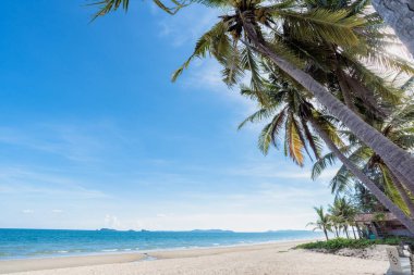 Güzel doğa deniz yaz arkaplanı, kumsal.