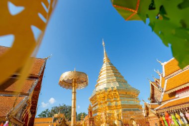 Chiang Mai, Tayland 'daki Budist tapınağı Doi Suthep' in en güzel bakış açısı. 