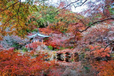 Daigoji 'nin en güzel bakış açısı Japonya' nın Kyoto şehrinde popüler bir turizm merkezidir..