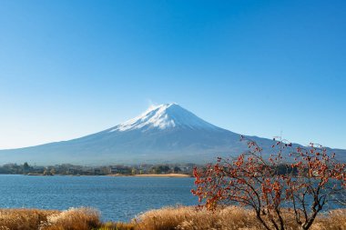 Fuji Dağı, Japonya 'nın ikonik sembolü, sonbahar yaprakları mevsiminde, fevkalade güzel bir dönem. kawaguchiko, japan.