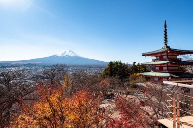 Fuji Dağı, Japonya 'nın ikonik sembolü, sonbahar yaprakları mevsiminde, fevkalade güzel bir dönem. kawaguchiko, japan.