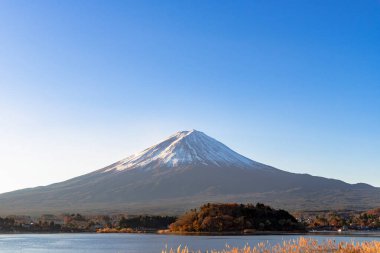 Fuji Dağı, Japonya 'nın ikonik sembolü, sonbahar yaprakları mevsiminde, fevkalade güzel bir dönem. kawaguchiko, japan.