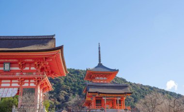 Gion, bölge gezginlerin ve ziyaretçilerin ihtiyaçlarını karşılamak için kuruldu. Sonunda Japonya 'nın en seçkin ve tanınmış geyşa bölgelerinden biri haline geldi.