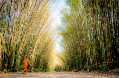 En güzel Bakış Açısı Tarihi Tapınak Tayland Tarihi Parkı.