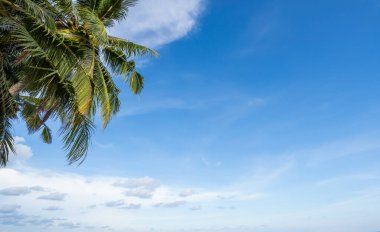 Güzel doğa deniz yaz arkaplanı, kumsal.