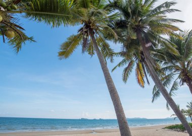 Güzel doğa deniz yaz arkaplanı, kumsal.