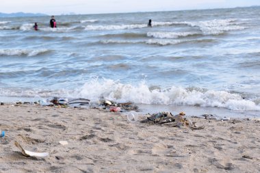 Kirli deniz kumlu kıyı, çevresel kirlilik, okyanustaki plastik su şişeleri kirliliği (Deniz enkazı)