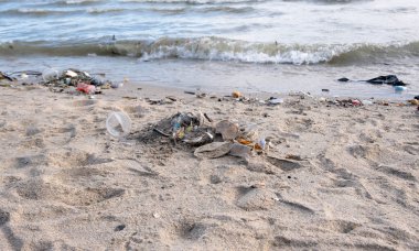 Kirli deniz kumlu kıyı, çevresel kirlilik, okyanustaki plastik su şişeleri kirliliği (Deniz enkazı)