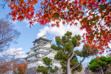 Şato Japonya 'nın en ünlü simgelerinden biridir ve Japonya' nın onaltıncı yüzyılda Osaka Kalesi Japonya 'da birleşmesinde önemli bir rol oynamıştır.