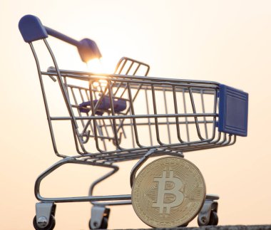 Bitcoin para madenciliğinin kapatılması İnternet Ağına bağlanıyor 