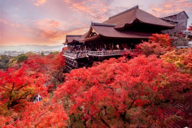 Kiyomizu-dera 'nın en güzel bakış açısı Japonya' nın Kyoto şehrinde popüler bir turizm merkezidir..