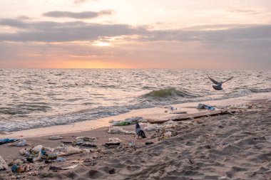 Kirli deniz kumlu kıyı, çevresel kirlilik, okyanustaki plastik su şişeleri kirliliği (Deniz enkazı)