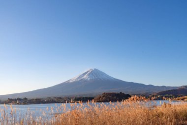 Fuji Dağı, Japonya 'nın ikonik sembolü, sonbahar yaprakları mevsiminde, fevkalade güzel bir dönem. kawaguchiko, japan.