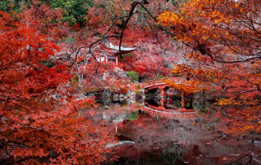 Daigoji 'nin en güzel bakış açısı Japonya' nın Kyoto şehrinde popüler bir turizm merkezidir..