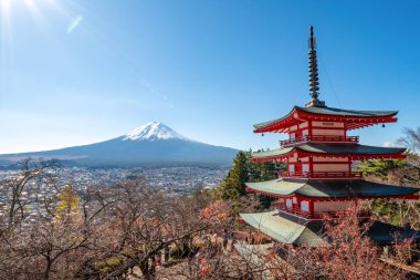 Fuji Dağı, Japonya 'nın ikonik sembolü, sonbahar yaprakları mevsiminde, fevkalade güzel bir dönem. kawaguchiko, japan.