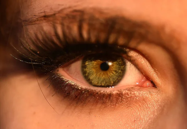 Ein Schönes Grünes Auge Eines Kaukasischen Modells — Stockfoto