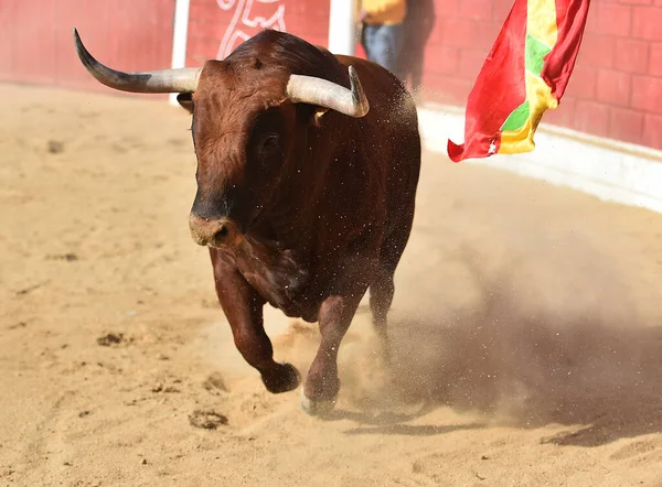 Een Grote Stier Met Grote Hoorns Een Traditioneel Stierengevecht — Stockfoto