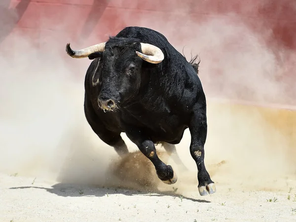 Schwerer Stier Mit Großen Hörnern Läuft Der Spanischen Stierkampfarena — Stockfoto