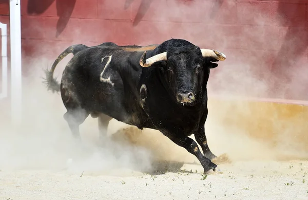 Sterke Zwarte Stier Spanje — Stockfoto