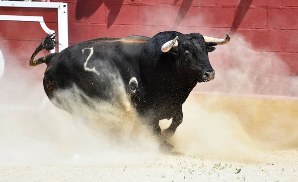 Toro Negro Fuerte España —  Fotos de Stock