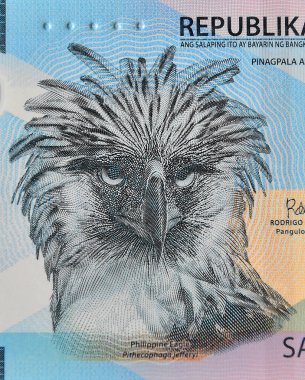 the monera eagle or philippine eagle on a Philippine banknote