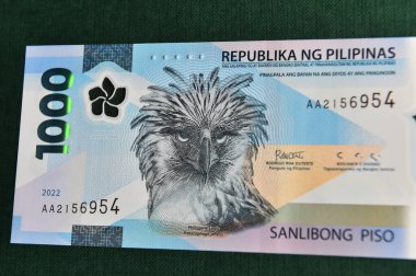 Filipin banknotunda Monera kartalı ya da Filipin kartalı