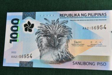 the monera eagle or philippine eagle on a Philippine banknote