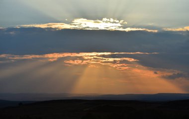 İspanya 'da büyük boynuzları olan güçlü bir boğa geleneksel bir bullight gösterisinde