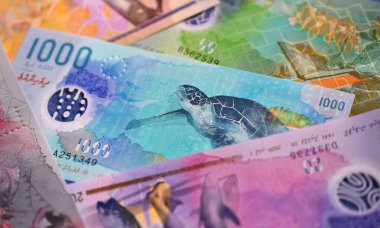 Maldivler adalarından güncel paralar