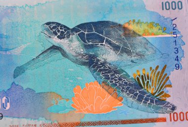 Maldivler adalarından güncel paralar