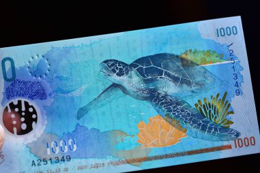 Maldivler adalarından güncel paralar