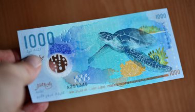 Maldivler adalarından güncel paralar