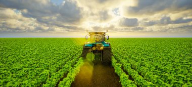 Tractor trailer on soybean field at sunset, 3d render