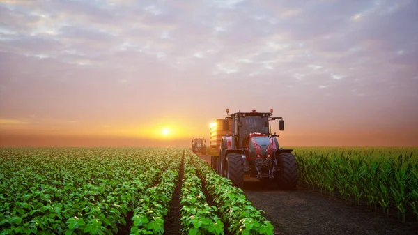 Tractor Working Agricultural Plots Sunset Render — Stock fotografie