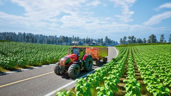 Traktor Pracující Zemědělských Pozemcích Vykreslení — Stock fotografie