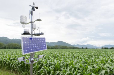 Mısır tarlasında hava durumu istasyonu, akıllı tarım kavramına sahip 5G teknolojisi.