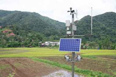 Pirinç tarlasında hava durumu istasyonu, akıllı tarım kavramına sahip 5G teknolojisi.
